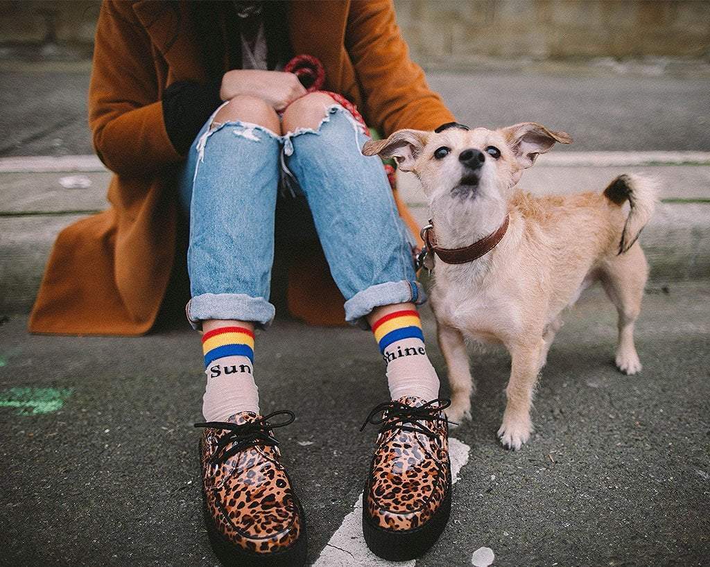 Leopard Patent Viva Mondo Creeper - Image 3