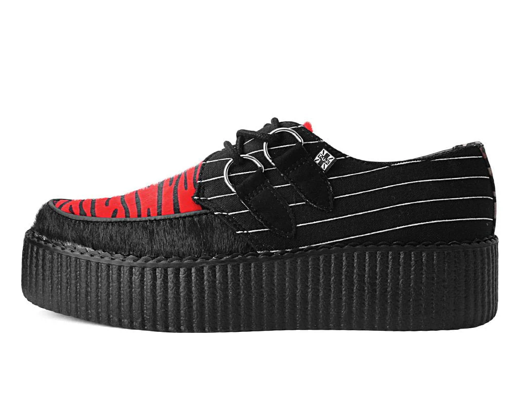 Multicolor Hodgepodge Creeper - Image 5