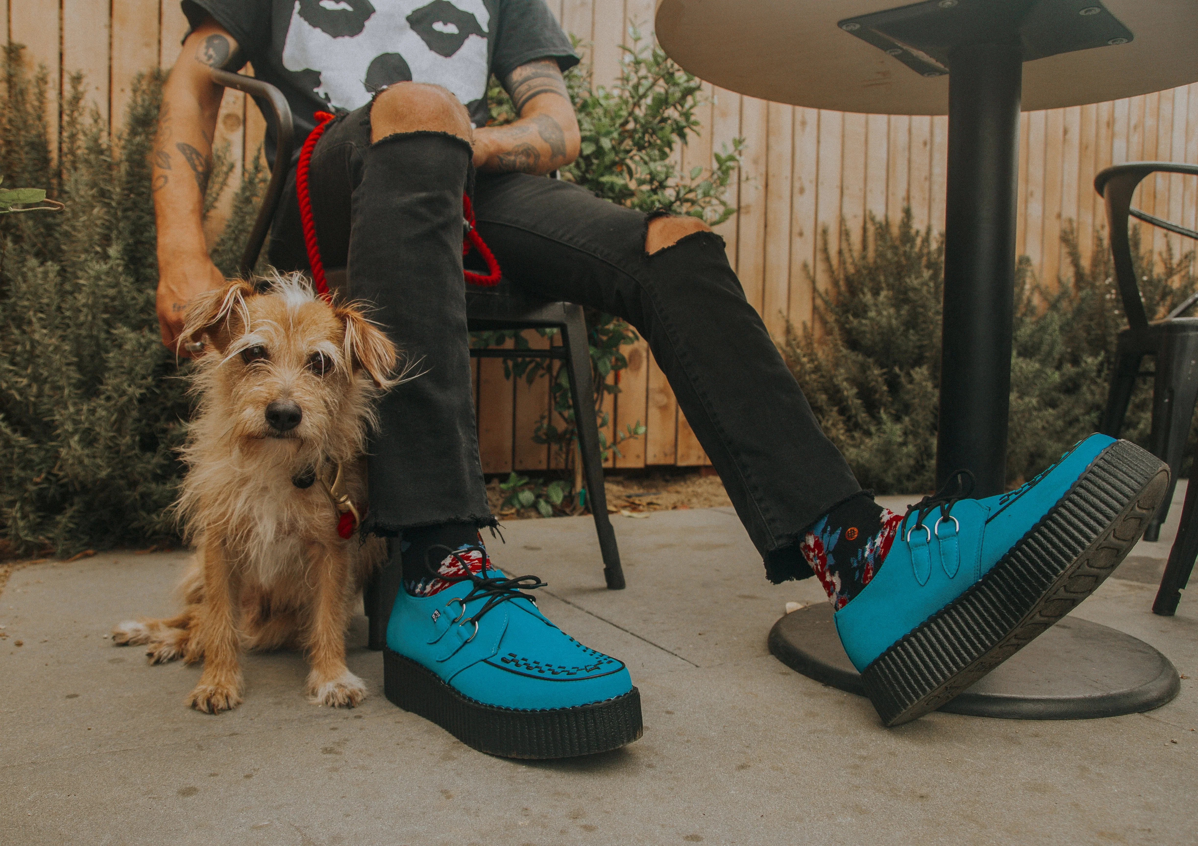 Teal Viva Mondo Creeper - Image 2